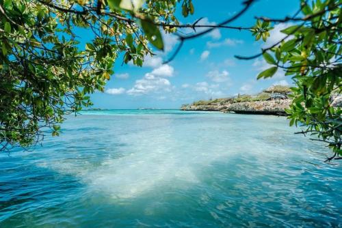 Palmhouse Apartments Aruba 1- 4 persons in Barcadera