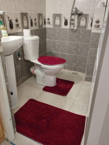 Bel appartement calme est bien equipe in Sbata