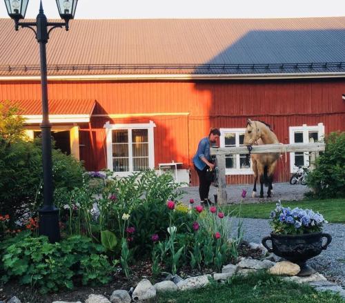 Kert, Stuga på hästgård med sjöutsikt (Stuga pa hastgard med sjoutsikt) in Külváros