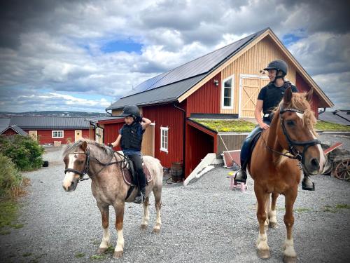 Lovaglás, Stuga på hästgård med sjöutsikt (Stuga pa hastgard med sjoutsikt) in Külváros
