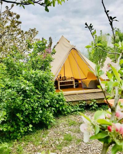 周邊環境, The Holford Arms in 迪德馬頓