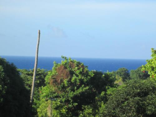 Afficher, Paradise Inn in Port Antonio