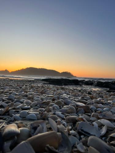 cabaña Wenu Mapu queule