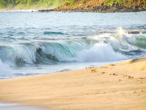 Alrededores, Hospedaje Combi dream bird in Coco