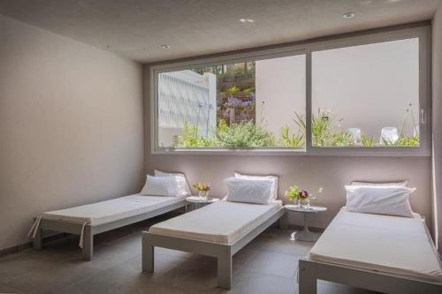 Vizion Suites Carilo