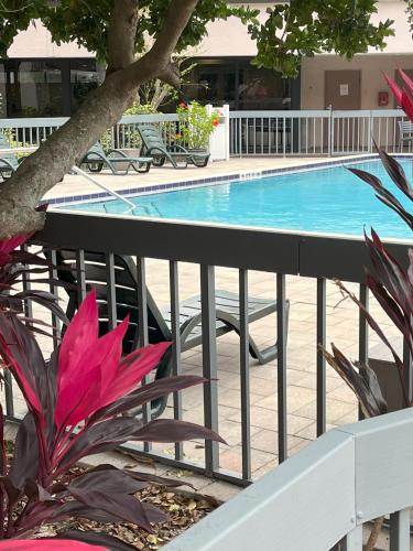 Grand Hotel Orando at Universal Blvd - image 8