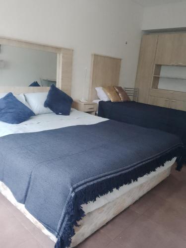 Dpto obelisco gran rex