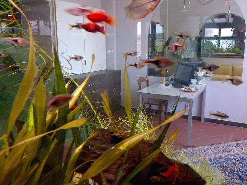 Locanda Ai Due Orsi - main image