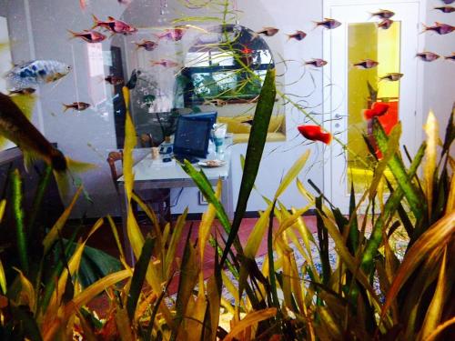 Locanda Ai Due Orsi - image 7