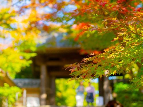 Kita-Kamakura 520ゴーニーマル