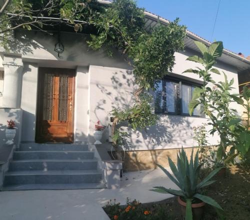 Casa cu trandafiri - Accommodation - Baia Mare