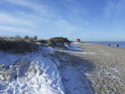 Terrassenwohnung Wangerooge - image 2