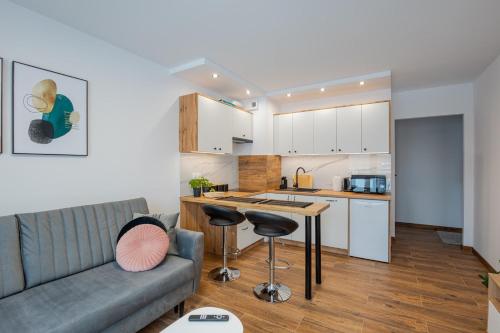 Vip Apartamenty Niecia z klimatyzacja - Apartment - Rzeszów