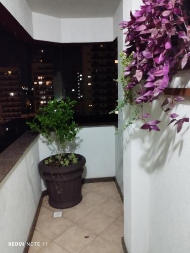 Apartamento Confortável 3 dormitórios no centro.