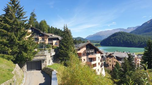 Chesa Bellaval, Haus la Vuolp 2 1 2-Zimmerwohnung in Silvaplana