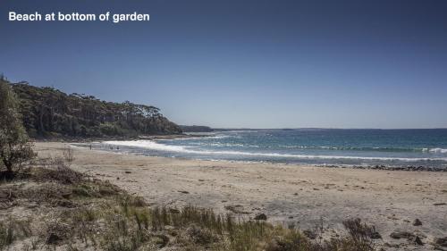 Ocean's Edge at Bawley Beach