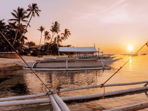 Attractions, Mad Monkey Panglao in Bohol