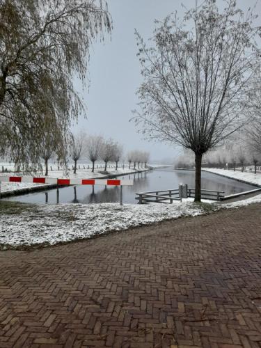 A környék, B&B Moria in Surhuizum