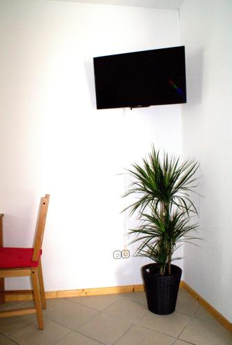 Pension Lindenhof - image 6