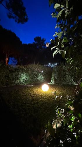 Modern Garden Apartment on the Seaside - image 14