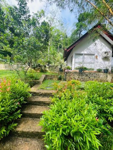 Arcadea Eco Lodge - Kuruwita