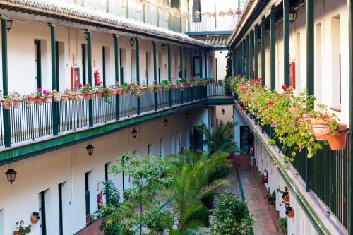 Alohamundi Lumbreras III