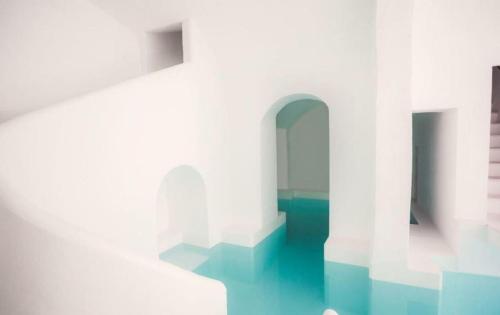 Can Araya - image 14