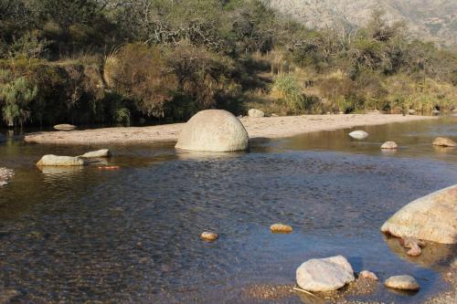 Cabaña Los Piquillines