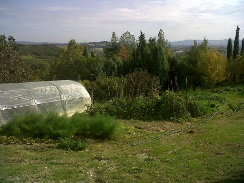 Il Cigliere your holiday home in the heart of Tuscany