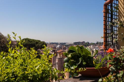 TreasureRome Daphne Terrace, Rome (photo 10)