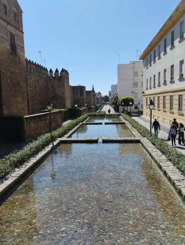 PATIO DE LA MURALLA APARTAMENTOS, Córdoba (fotografie 5)