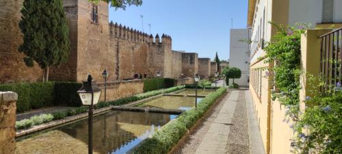 PATIO DE LA MURALLA APARTAMENTOS, Córdoba (fotografie 3)