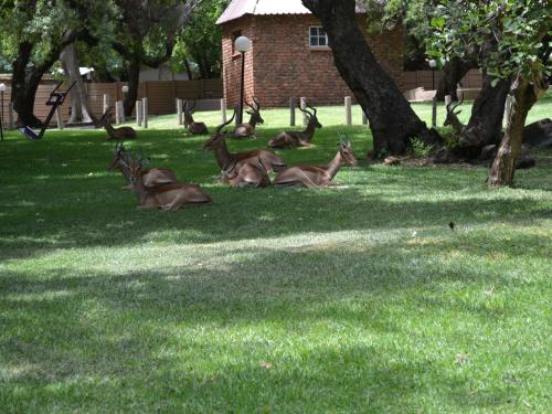 Mount Amanzi by MyResorts 4