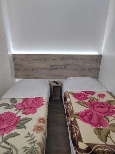 Alpha Hotel - image 12