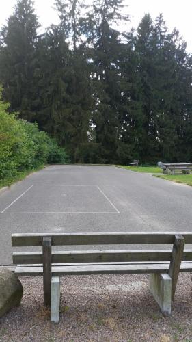 Waldgasthof - Hotel Schiederhof - image 3