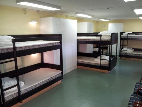 Bunk Bed in Mixed Dormitory Room