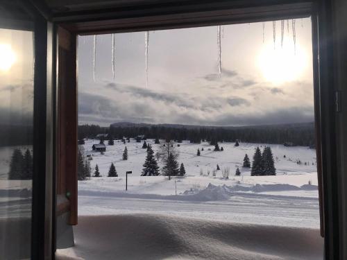 สภาพแวดล้อมโดยรอบ, Apartmány v Chalupě nad Modravou (Apartmany v Chalupe nad Modravou) in โมดราวา