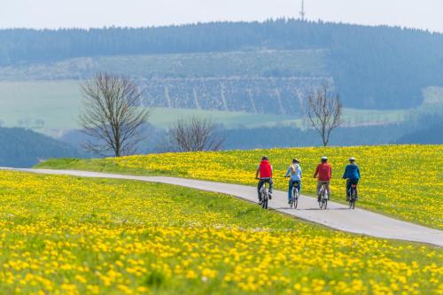 Sauerland Alpin Hotel