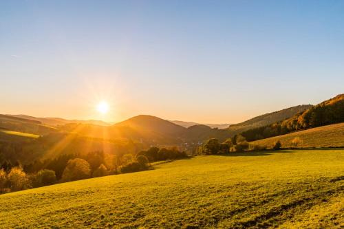 Sauerland Alpin Hotel