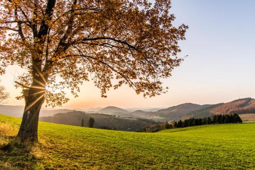 Sauerland Alpin Hotel