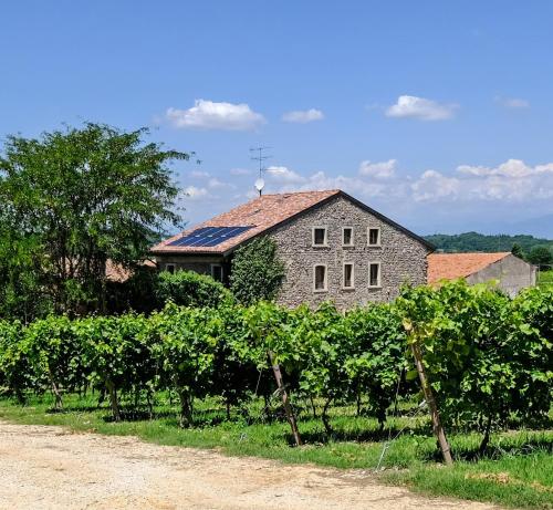 Seiterre Agriturismo Tenuta San Leone - Hotel - Valeggio sul Mincio