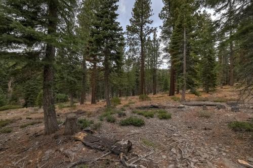 Alpine Escape: Tahoe Oasis Steps from Lake Alpine Escape: Tahoe Oasis Steps from Lake