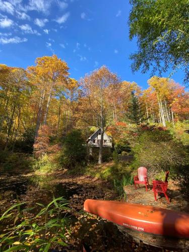 B&B Sylva - Harvest Moon Loft - Bed and Breakfast Sylva