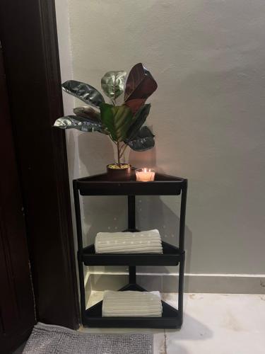 One bedroom apartment- Riyadh - Tap to explore photos