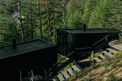 Tara Cabins Pure Nature - Accommodation - Zaovine