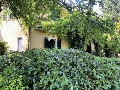 Idyllique maison de maître dans les collines de Pesaro entre Urbino et la mer - Villa Rina