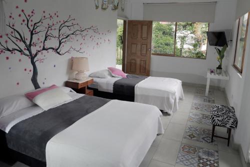 Posada Las Bromelias