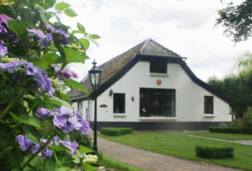 B&B Hollandscheveld - Bed&Breakfast 't Eikeltje - Bed and Breakfast Hollandscheveld