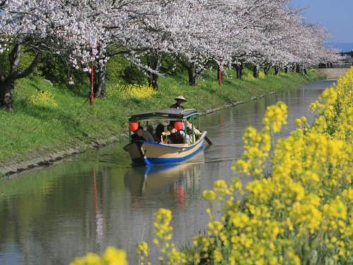 Daiichi Hotel - Vacation STAY 24207v