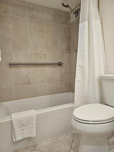 Ilikai Tower 1925 City View 2BR - image 19